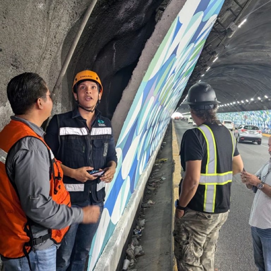 Dictámenes estructurales